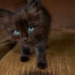 Meet your Posher, Jeff